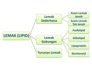 LEMAK (LIPID)
Lemak
Sederhana
Asam Lemak
Jenuh
Asam Lemak
Tak Jenuh
Lemak
Gabungan
Fosfolipid
Glikolipid
Lipoprotein
Karotenoid
Turunan Lemak
 