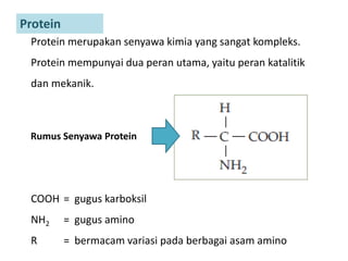 Protein merupakan senyawa kimia yang sangat kompleks.
Protein mempunyai dua peran utama, yaitu peran katalitik
dan mekanik.
COOH = gugus karboksil
NH2 = gugus amino
R = bermacam variasi pada berbagai asam amino
Protein
Rumus Senyawa Protein
 