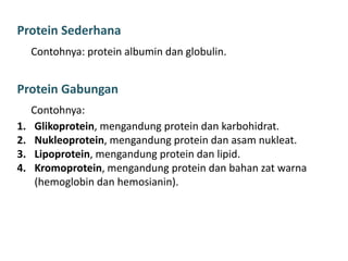 Protein Sederhana
Contohnya: protein albumin dan globulin.
Protein Gabungan
Contohnya:
1. Glikoprotein, mengandung protein dan karbohidrat.
2. Nukleoprotein, mengandung protein dan asam nukleat.
3. Lipoprotein, mengandung protein dan lipid.
4. Kromoprotein, mengandung protein dan bahan zat warna
(hemoglobin dan hemosianin).
 