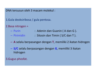 DNA tersusun oleh 3 macam molekul :
1.Gula deoksiribosa / gula pentosa.
2.Basa nitrogen =
– Purin : Adenin dan Guanin ( A dan G ).
– Pirimidin : Sitosin dan Timin ( S/C dan T ).
– A selalu berpasangan dengan T, memiliki 2 ikatan hidrogen
– S/C selalu berpasangan dengan G, memiliki 3 ikatan
hidrogen
3.Gugus phosfat.
 