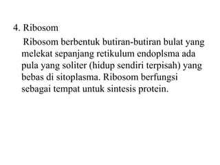4. Ribosom
Ribosom berbentuk butiran-butiran bulat yang
melekat sepanjang retikulum endoplsma ada
pula yang soliter (hidup sendiri terpisah) yang
bebas di sitoplasma. Ribosom berfungsi
sebagai tempat untuk sintesis protein.
 