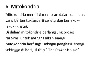 6. Mitokondria
Mitokondria memiliki membran dalam dan luar,
yang berbentuk seperti cerutu dan berlekuk-
lekuk (Krista).
Di dalam mitokondria berlangsung proses
respirasi untuk menghasilkan energi.
Mitokondria berfungsi sebagai penghasil energi
sehingga di beri julukan “ The Power House”.
 