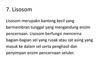 7. Lisosom
Lisosom merupakn kantong kecil yang
bermembran tunggal yang mengandung enzim
pencernaan. Lisosom berfungsi mencerna
bagian-bagian sel yang rusak atau zat asing yang
masuk ke dalam sel serta penghasil dan
penyimpan enzim pencernaan seluler.
 