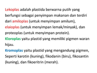 Lekoplas adalah plastida berwarna putih yang
berfungsi sebagai penyimpan makanan dan terdiri
dari amiloplas (untuk menyimpan amilum),
elaioplas (untuk menyimpan lemak/minyak), dan
proteoplas (untuk menyimpan protein).
Kloroplas yaitu plastid yang memiliki pigmen waran
hijau.
Kromoplas yaitu plastid yang mengandung pigmen,
Seperti karotin (kuning), fikodanin (biru), fikosantin
(kuning), dan fikoeritrin (merah).
 