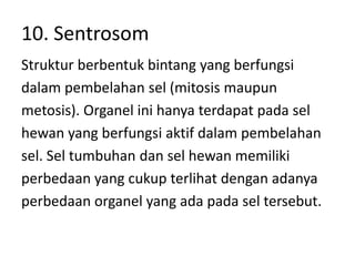 10. Sentrosom
Struktur berbentuk bintang yang berfungsi
dalam pembelahan sel (mitosis maupun
metosis). Organel ini hanya terdapat pada sel
hewan yang berfungsi aktif dalam pembelahan
sel. Sel tumbuhan dan sel hewan memiliki
perbedaan yang cukup terlihat dengan adanya
perbedaan organel yang ada pada sel tersebut.
 