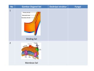 No Gambar Organel Sel Deskripsi struktur Fungsi
1
Dinding Sel
2
Membran Sel
 