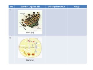 No Gambar Organel Sel Deskripsi struktur Fungsi
7
8
Lisosom
 