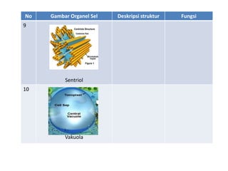 No Gambar Organel Sel Deskripsi struktur Fungsi
9
Sentriol
10
Vakuola
 