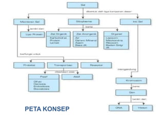 PETA KONSEP
 