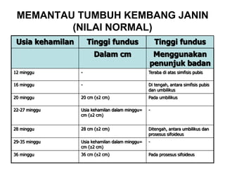 MEMANTAU TUMBUH KEMBANG JANIN
(NILAI NORMAL)
Usia kehamilan Tinggi fundus Tinggi fundus
Dalam cm Menggunakan
penunjuk badan
12 minggu - Teraba di atas simfisis pubis
16 minggu - Di tengah, antara simfisis pubis
dan umbilikus
20 minggu 20 cm (±2 cm) Pada umbilikus
22-27 minggu Usia kehamilan dalam minggu=
cm (±2 cm)
-
28 minggu 28 cm (±2 cm) Ditengah, antara umbilikus dan
prosesus sifoideus
29-35 minggu Usia kehamilan dalam minggu=
cm (±2 cm)
-
36 minggu 36 cm (±2 cm) Pada prosesus sifoideus
 