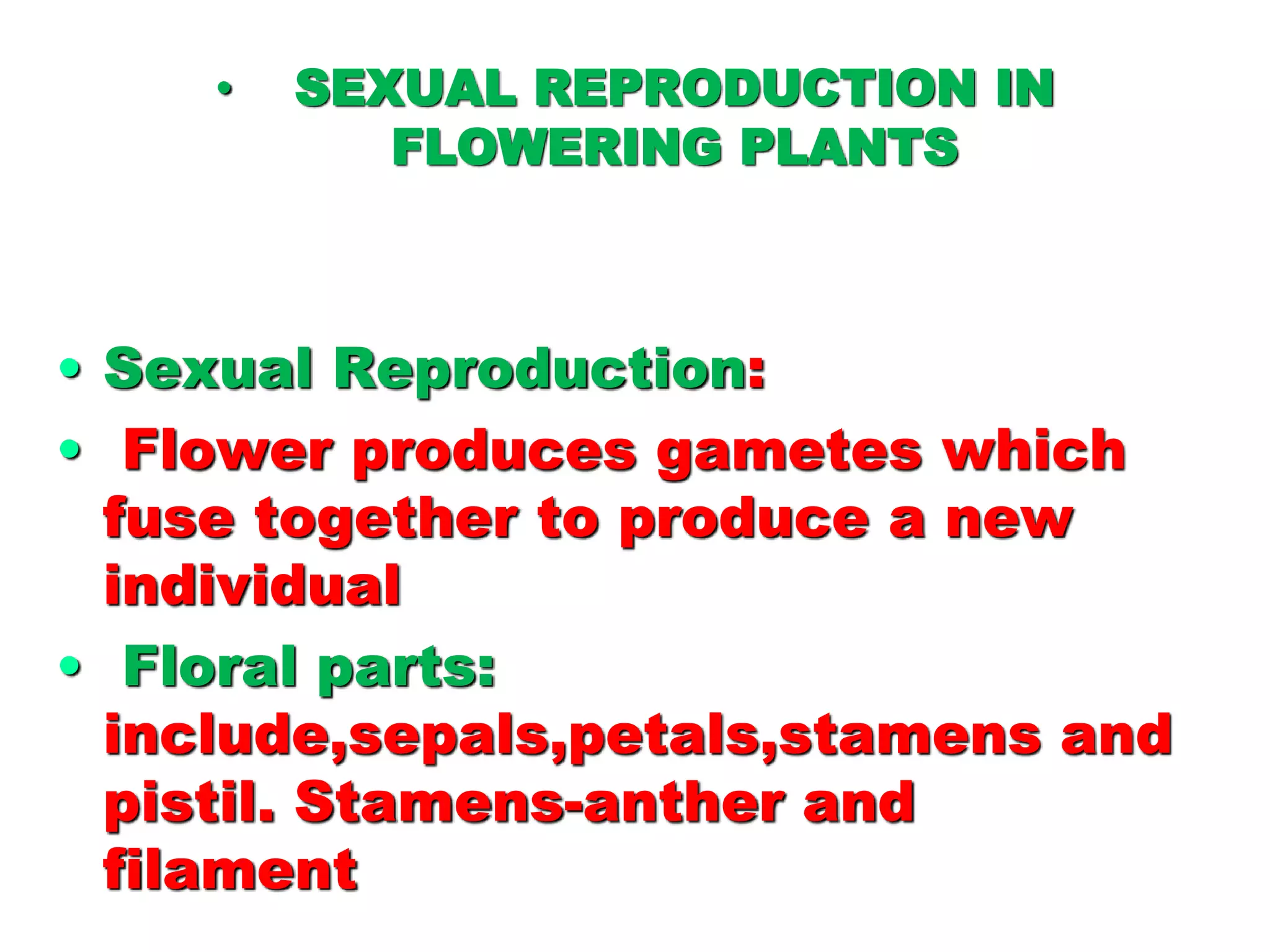• SEXUAL REPRODUCTION IN
FLOWERING PLANTS
• Sexual Reproduction:
• Flower produces gametes which
fuse together to produce a new
individual
• Floral parts:
include,sepals,petals,stamens and
pistil. Stamens-anther and
filament
 