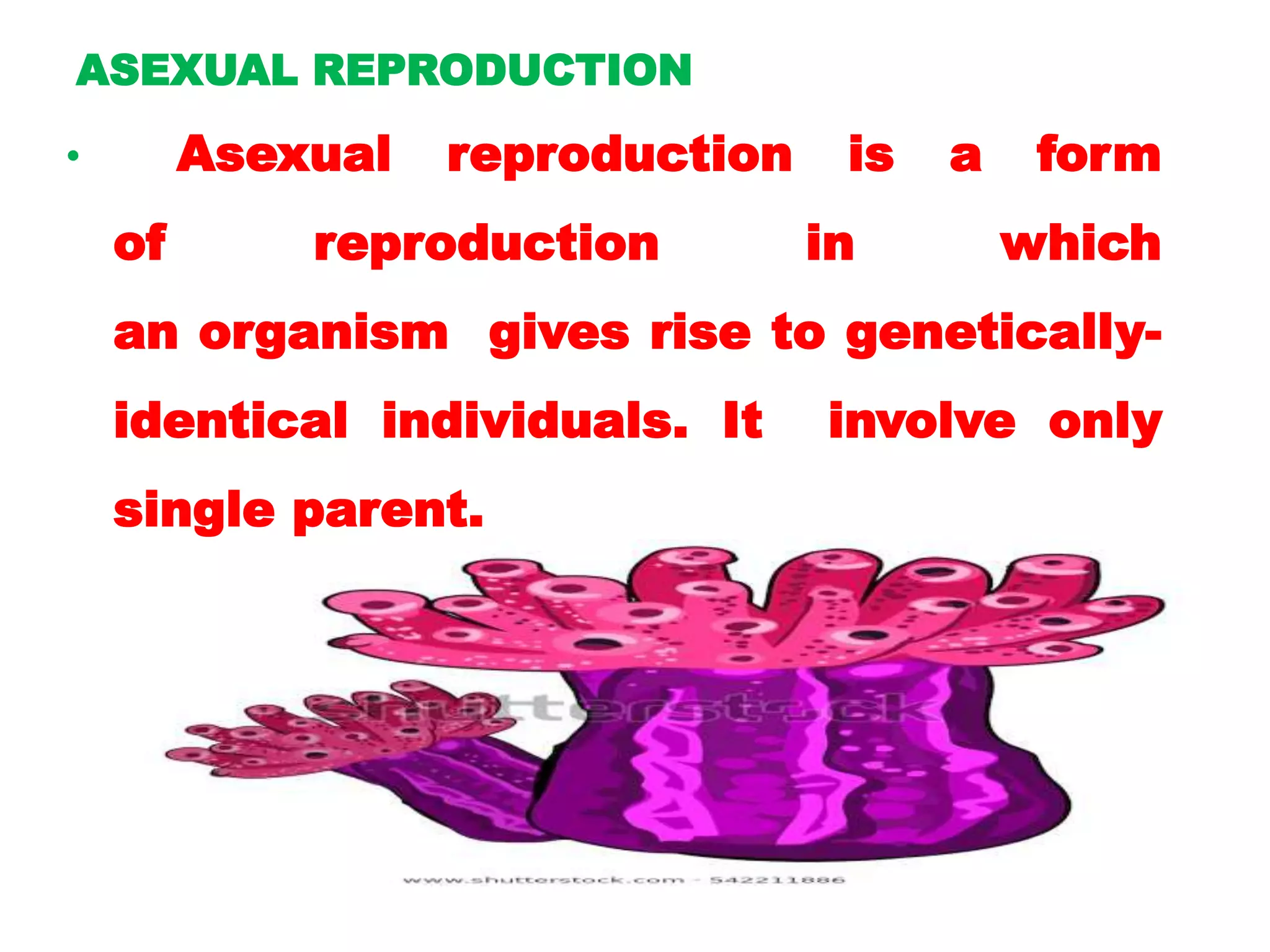ASEXUAL REPRODUCTION
• Asexual reproduction is a form
of reproduction in which
an organism gives rise to genetically-
identical individuals. It involve only
single parent.
 