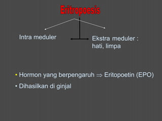 Intra meduler Ekstra meduler :
hati, limpa
• Hormon yang berpengaruh  Eritopoetin (EPO)
• Dihasilkan di ginjal
 