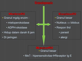 • Granul mgdg enzim :
• mieloperoksidase
• ADPH-oksidase
• Hidup dalam darah 8 jam
• Di jaringan
• Granul besar
• Nukleus  bilobus
• Respon thd
• parasit
• alergi
• Granul besar
• Me : hipersensitivitasReseptor Ig E
 