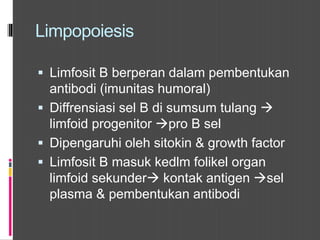 Limpopoiesis
 Limfosit B berperan dalam pembentukan
antibodi (imunitas humoral)
 Diffrensiasi sel B di sumsum tulang 
limfoid progenitor pro B sel
 Dipengaruhi oleh sitokin & growth factor
 Limfosit B masuk kedlm folikel organ
limfoid sekunder kontak antigen sel
plasma & pembentukan antibodi
 