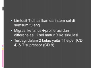 Limfosit T dihasilkan dari stem sel di
sumsum tulang
 Migrasi ke timusproliferasi dan
differensiasi sel matur ke sirkulasi
 Terbagi dalam 2 kelas yaitu T helper (CD
4) & T supressor (CD 8)
 