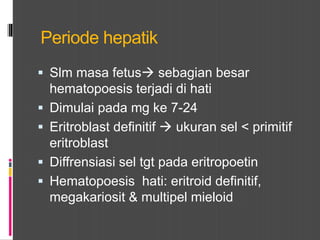 Periode hepatik
 Slm masa fetus sebagian besar
hematopoesis terjadi di hati
 Dimulai pada mg ke 7-24
 Eritroblast definitif  ukuran sel < primitif
eritroblast
 Diffrensiasi sel tgt pada eritropoetin
 Hematopoesis hati: eritroid definitif,
megakariosit & multipel mieloid
 