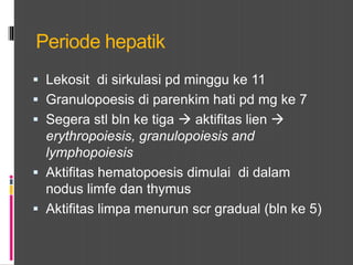 Periode hepatik
 Lekosit di sirkulasi pd minggu ke 11
 Granulopoesis di parenkim hati pd mg ke 7
 Segera stl bln ke tiga  aktifitas lien 
erythropoiesis, granulopoiesis and
lymphopoiesis
 Aktifitas hematopoesis dimulai di dalam
nodus limfe dan thymus
 Aktifitas limpa menurun scr gradual (bln ke 5)
 