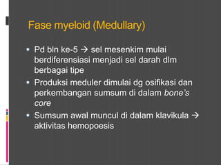 Fase myeloid (Medullary)
 Pd bln ke-5  sel mesenkim mulai
berdiferensiasi menjadi sel darah dlm
berbagai tipe
 Produksi meduler dimulai dg osifikasi dan
perkembangan sumsum di dalam bone’s
core
 Sumsum awal muncul di dalam klavikula 
aktivitas hemopoesis
 