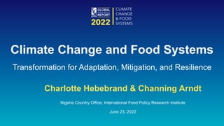 Charlotte Hebebrand & Channing Arndt
Nigeria Country Office, International Food Policy Research Institute
June 23, 2022
Climate Change and Food Systems
Transformation for Adaptation, Mitigation, and Resilience
 