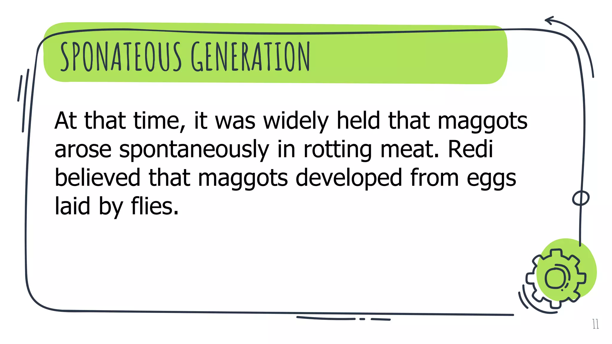 SPONATEOUS GENERATION
11
At that time, it was widely held that maggots
arose spontaneously in rotting meat. Redi
believed that maggots developed from eggs
laid by flies.
 