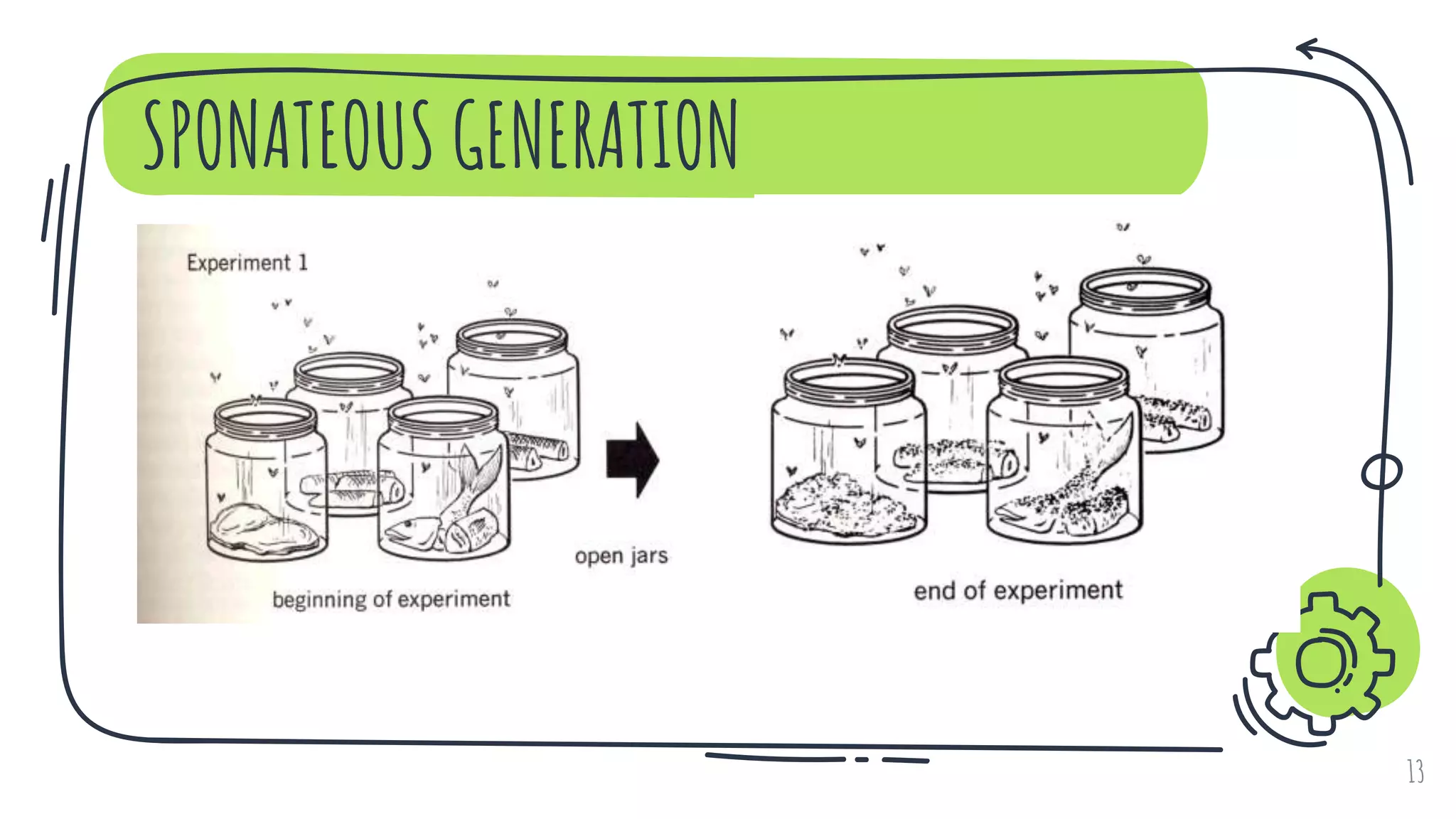 SPONATEOUS GENERATION
13
 