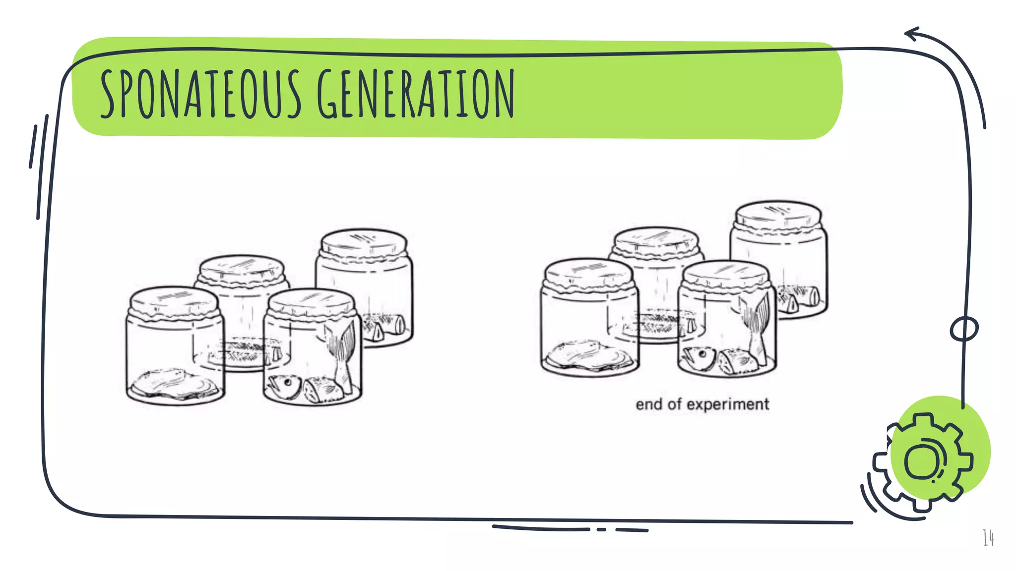 SPONATEOUS GENERATION
14
 