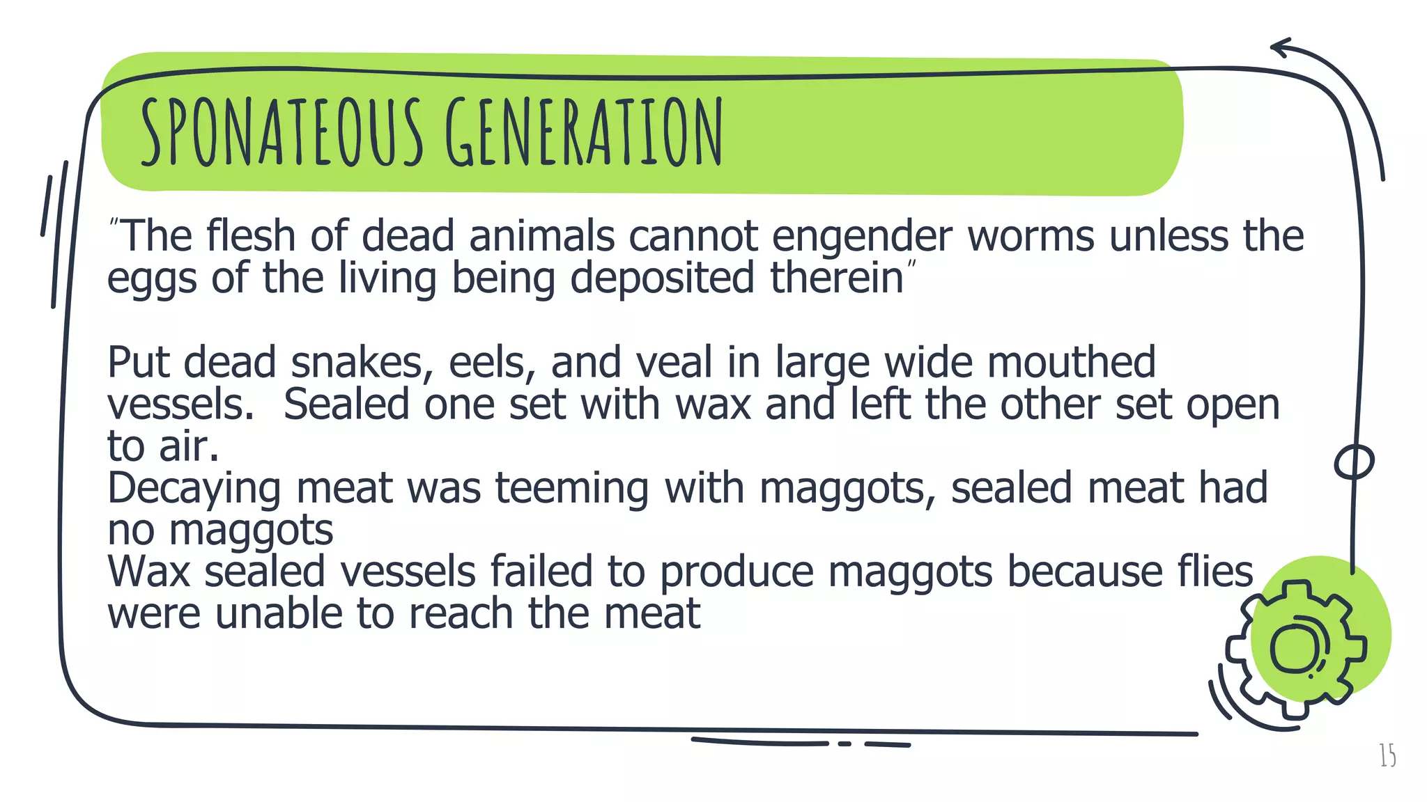 SPONATEOUS GENERATION
15
“The flesh of dead animals cannot engender worms unless the
eggs of the living being deposited therein”
Put dead snakes, eels, and veal in large wide mouthed
vessels. Sealed one set with wax and left the other set open
to air.
Decaying meat was teeming with maggots, sealed meat had
no maggots
Wax sealed vessels failed to produce maggots because flies
were unable to reach the meat
 