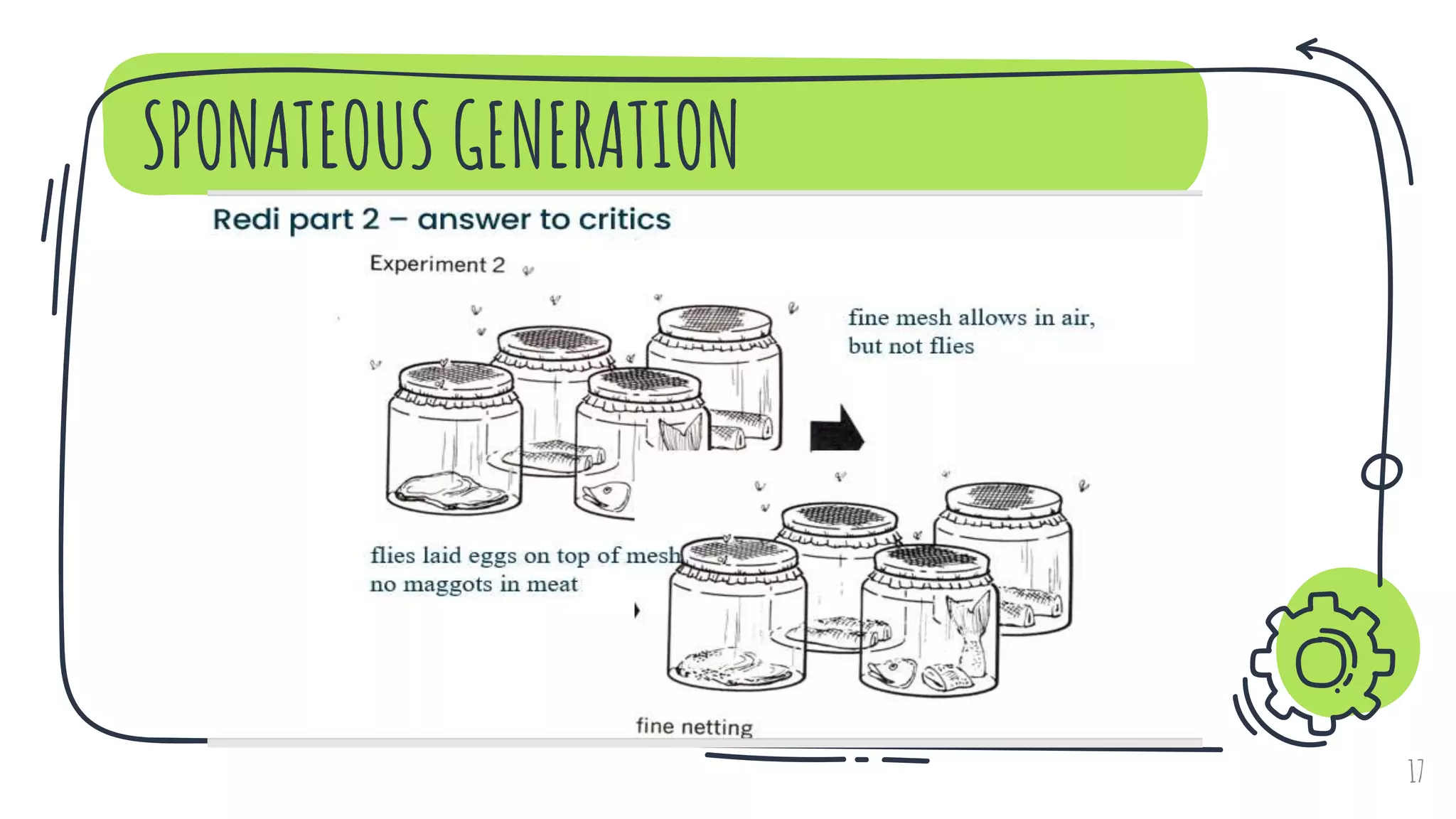 SPONATEOUS GENERATION
17
 