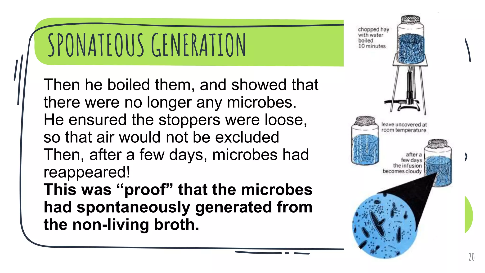 SPONATEOUS GENERATION
20
Then he boiled them, and showed that
there were no longer any microbes.
He ensured the stoppers were loose,
so that air would not be excluded
Then, after a few days, microbes had
reappeared!
This was “proof” that the microbes
had spontaneously generated from
the non-living broth.
 