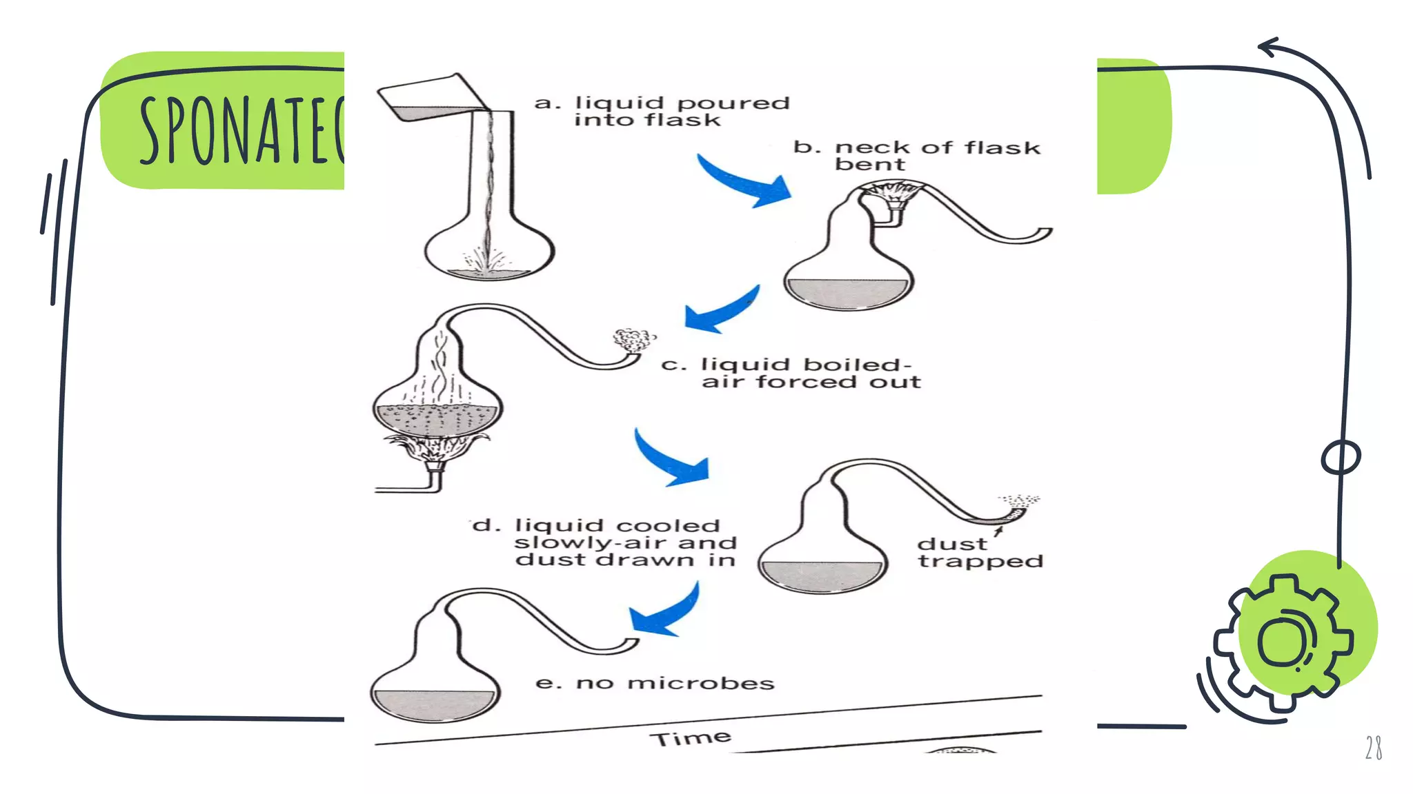 SPONATEOUS GENERATION
28
 