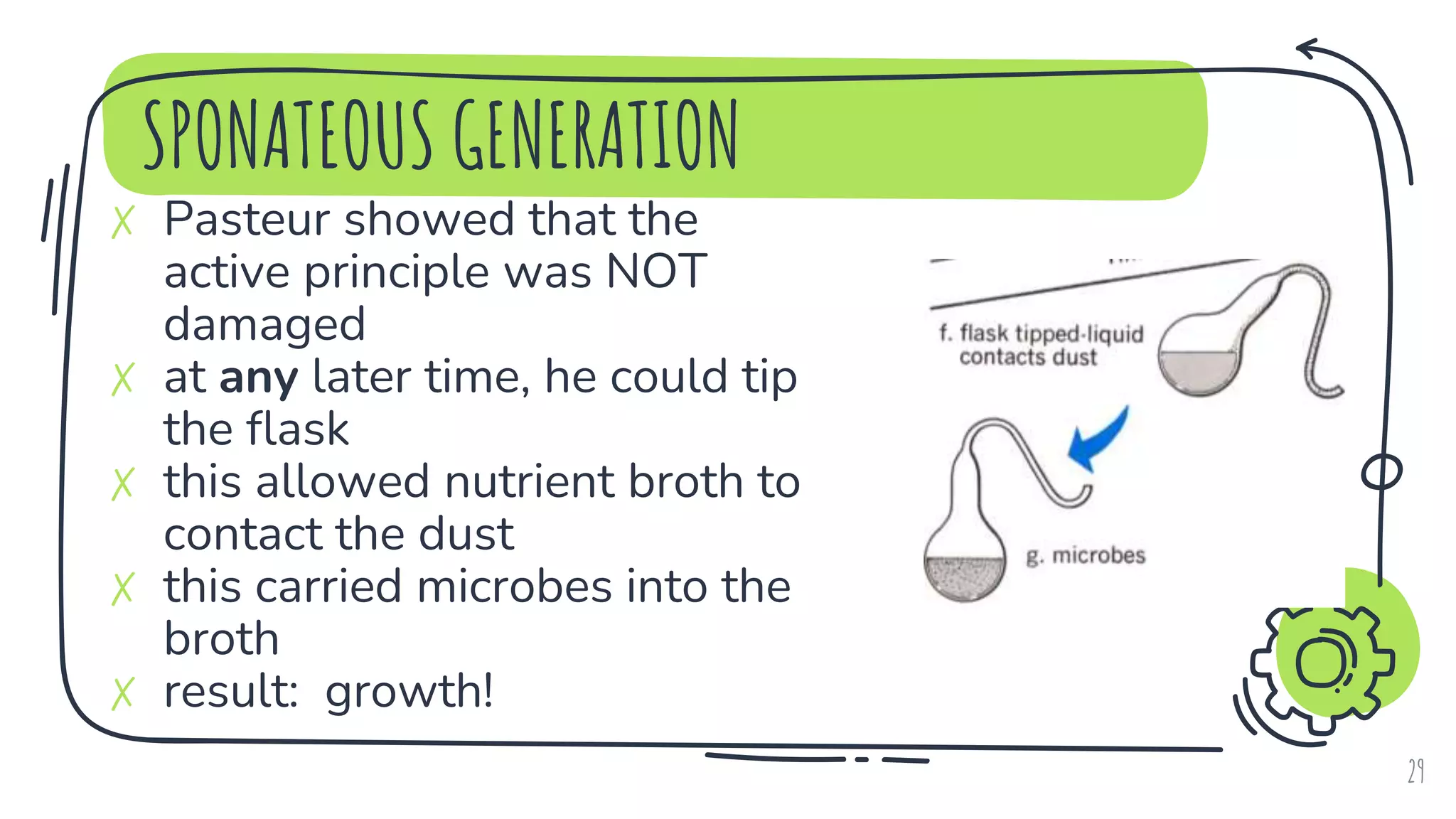 SPONATEOUS GENERATION
29
✗ Pasteur showed that the
active principle was NOT
damaged
✗ at any later time, he could tip
the flask
✗ this allowed nutrient broth to
contact the dust
✗ this carried microbes into the
broth
✗ result: growth!
 