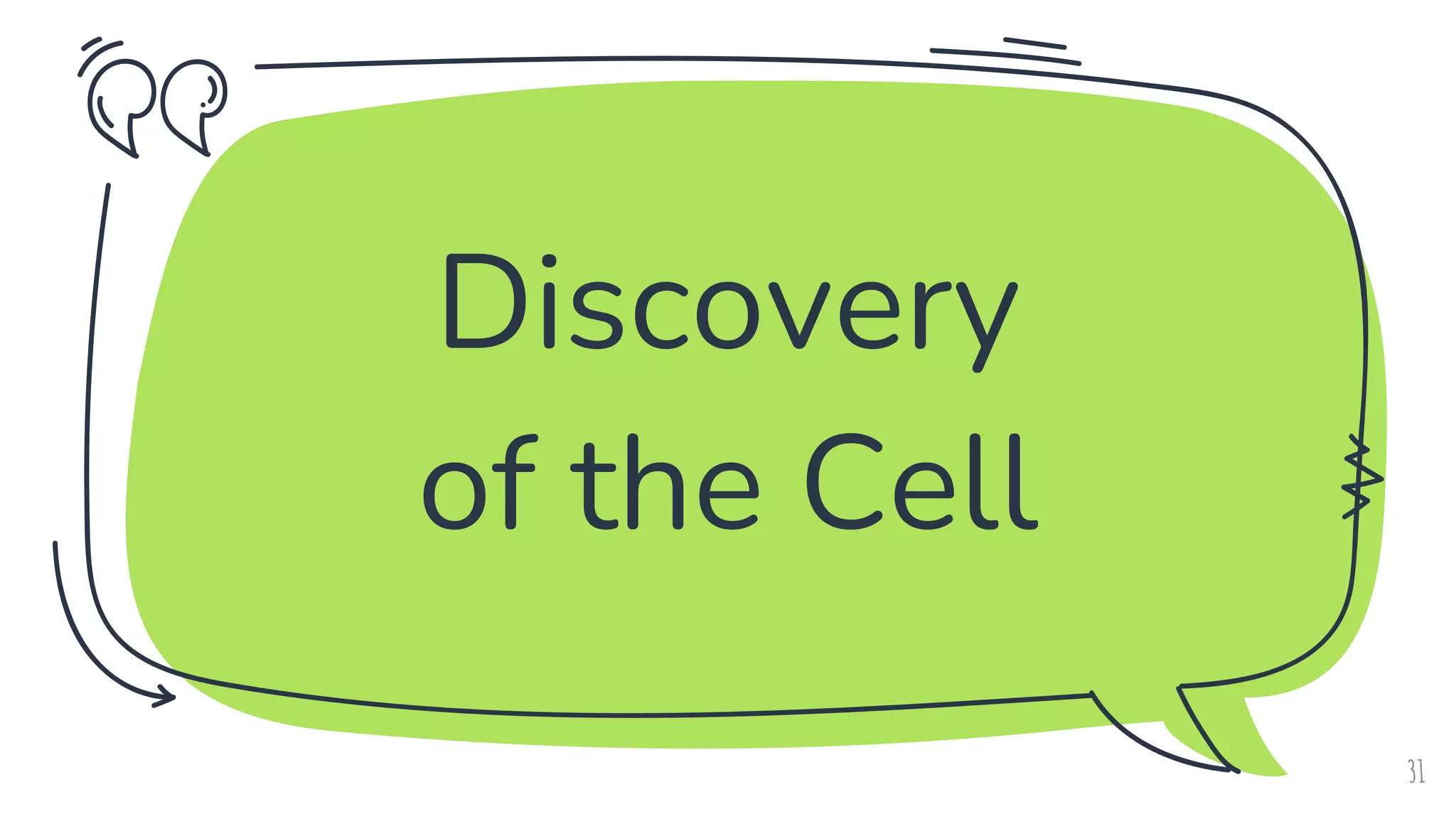 Discovery
of the Cell
31
 