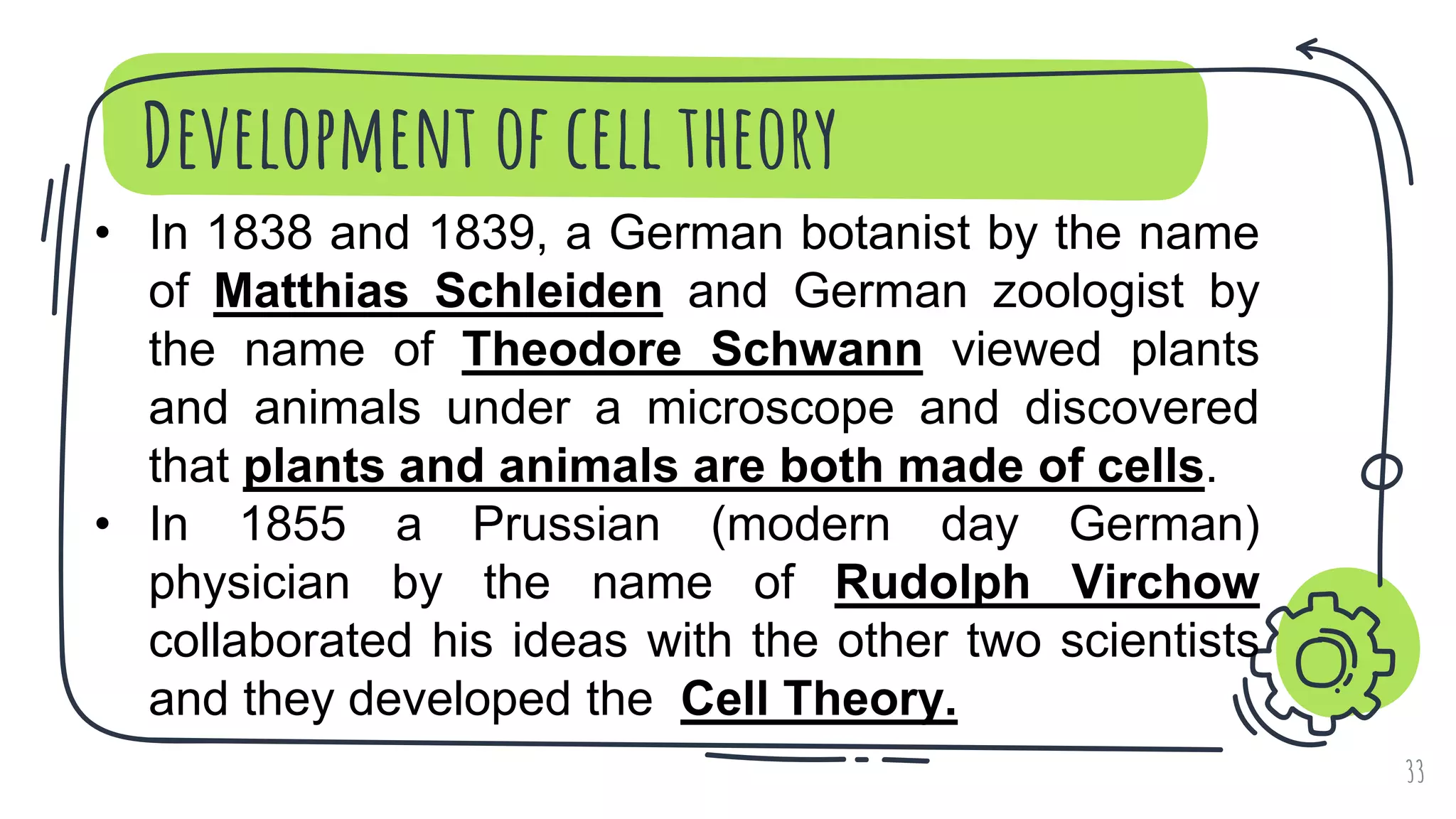 Development of cell theory
33
• In 1838 and 1839, a German botanist by the name
of Matthias Schleiden and German zoologist by
the name of Theodore Schwann viewed plants
and animals under a microscope and discovered
that plants and animals are both made of cells.
• In 1855 a Prussian (modern day German)
physician by the name of Rudolph Virchow
collaborated his ideas with the other two scientists
and they developed the Cell Theory.
 