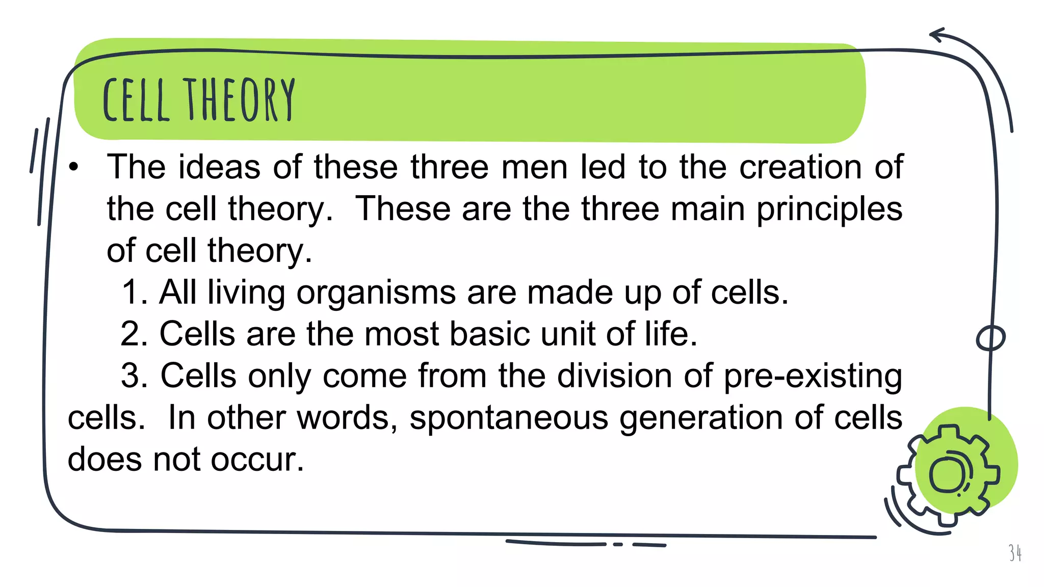 cell theory
34
• The ideas of these three men led to the creation of
the cell theory. These are the three main principles
of cell theory.
1. All living organisms are made up of cells.
2. Cells are the most basic unit of life.
3. Cells only come from the division of pre-existing
cells. In other words, spontaneous generation of cells
does not occur.
 