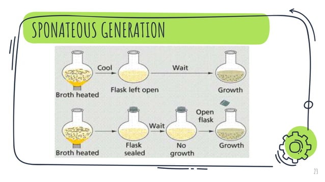 1. WEEK 1-Spontaneous Generation.pptx | Biological Sciences | Science
