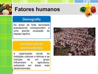 Fatores humanos
As áreas de forte densidade
populacional correspondem a
uma grande ocupação do
espaço agrário.
Demografia
a organização social, as
tradições culturais e étnicas e as
crenças de um grupo
influenciam a agricultura,
sobretudo em áreas mais
desfavorecidas.
Características
socioculturais
 