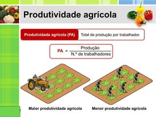 Produtividade agrícola
Produtividade agrícola (PA) Total de produção por trabalhador.
PA =
Produção
N.º de trabalhadores
Maior produtividade agrícola Menor produtividade agrícola
 