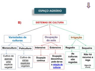 ESPAÇO AGRÁRIO
SISTEMAS DE CULTURA
Variedades de
culturas
Ocupação
do solo
Irrigação
B)
Monocultura Policultura Intensivo Extensivo Regadio
Cultivo de
apenas
uma
espécie
vegetal
Cultivo de
várias
espécies
vegetais
Sequeiro
Ocupação
contínua
Ocupação
descontínua,
pode dar-se
a rotação de
culturas
As
culturas
são
regadas
Não há
recurso a
rega
(água da
chuva)
 