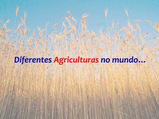 Diferentes Agriculturas no mundo…
 
