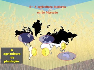 2- A agricultura moderna
ou de Mercado
A
agricultura
de
plantação.
 