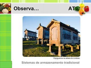 Observa… AT
Sistemas de armazenamento tradicional
Espigueiros na aldeia do Lindoso.
 