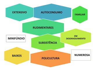 AUTOCONSUMO
EXTENSIVO
RUDIMENTARES
NUMEROSA
FAMILIAR
SUBSISTÊNCIA
EM
DESENVOLVIMENTO
BAIXOS
MINIFÚNDIO
POLICULTURA
 