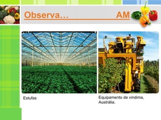 Observa… AM
Estufas Equipamento de vindima,
Austrália.
 