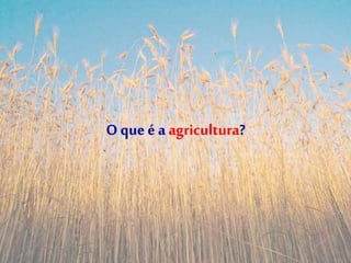 O queé a agricultura?
 