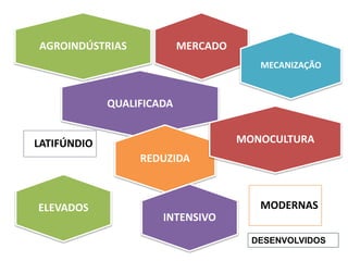 MERCADO
AGROINDÚSTRIAS
QUALIFICADA
MODERNAS
MECANIZAÇÃO
REDUZIDA
MONOCULTURA
ELEVADOS
LATIFÚNDIO
INTENSIVO
DESENVOLVIDOS
 