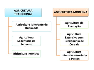 AGRICULTURA
TRADICIONAL
Agricultura Itinerante de
Queimada
Agricultura
Sedentária de
Sequeiro
Rizicultura Intensiva
AGRICULTURA MODERNA
Agricultura de
Plantação
Agricultura
Extensiva com
Predomínio de
Cereais
Agricultura
Intensiva associada
a Pastos
 