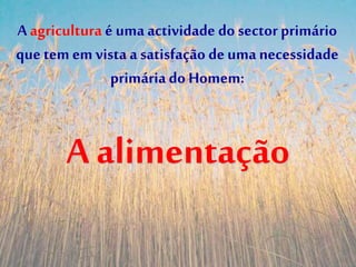 A agricultura é uma actividade do sector primário
que tem em vista a satisfação deuma necessidade
primária do Homem:
A alimentação
 