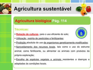 Agricultura sustentável
Agricultura biológica Pág. 114
Técnicas:
 Rotação de culturas, para o uso eficiente do solo;
 Utilização restrita de pesticidas e fertilizantes;
 Proibição absoluta do uso de organismos geneticamente modificados;
 Aproveitamento dos recursos locais, tais como o uso do estrume
animal, como fertilizante, ou alimentar os animais com produtos da
própria exploração;
 Escolha de espécies vegetais e animais resistentes a doenças e
adaptadas às condições locais.
 