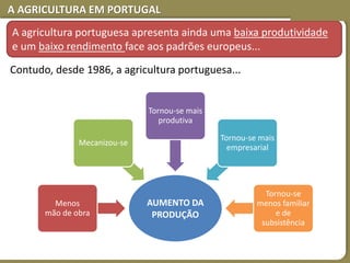 A AGRICULTURA EM PORTUGAL
A agricultura portuguesa apresenta ainda uma baixa produtividade
e um baixo rendimento face aos padrões europeus...
AUMENTO DA
PRODUÇÃO
Menos
mão de obra
Mecanizou-se
Tornou-se mais
produtiva
Tornou-se mais
empresarial
Tornou-se
menos familiar
e de
subsistência
Contudo, desde 1986, a agricultura portuguesa...
 